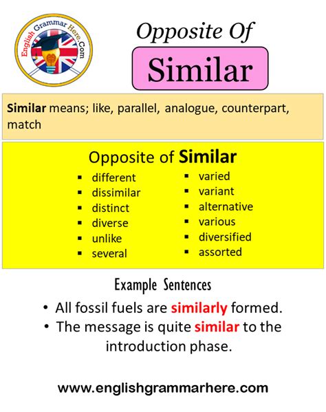 SIMILAR Synonyms: 79 Similar and Opposite Words .